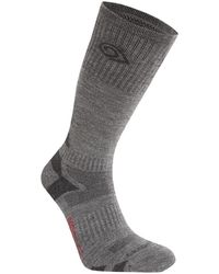 Craghoppers - Adult Wool Blend Insect Repellent Advent Socks (Coast/ Pepper) - Lyst