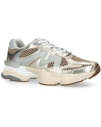 Steve Madden - Speeder Sneakers Fabric - Lyst