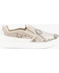 Rocket Dog - Becki Rawley Slip On Trainers Animal - Lyst