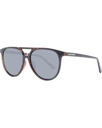Skechers - Se6180-5352D Se6180 53 5352D Sunglasses - Lyst