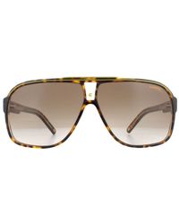 Carrera - Retro Aviator Havana Gradient Sunglasses - Lyst