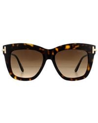 Tom Ford - Square Dark Havana Gradient Sunglasses - Lyst