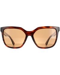 Serengeti - Square Shiny Tortoise Saturn Polarized Drivers Wakota - Lyst