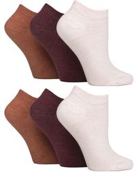 IOMI - 6 Pack Diabetic Trainer Socks - Lyst