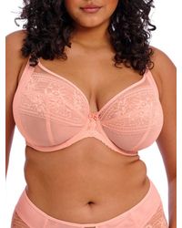 Elomi - Kendra Plunge Bra - Lyst