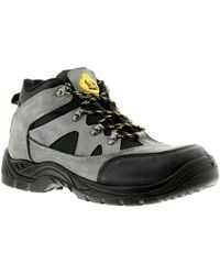 Tradesafe - New /Gents Graham Lace Ups Safety Boots Suede - Lyst