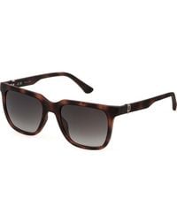 Police - Spln34-540878 Spln34 54 540878 Sunglasses - Lyst