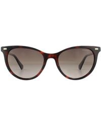Polaroid - Cat Eye Havana Gradient Polarized Sunglasses - Lyst