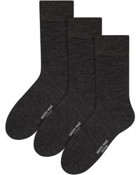 Steve Madden - 3 Pairs Multipack Original Merino Wool Socks - Lyst