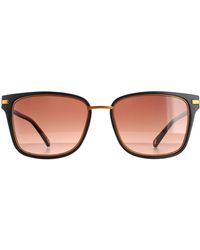 Ted Baker - Square Gradient Tb1620 Mata - Lyst