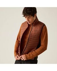 Regatta - Andreson Hybrid Padded Jacket (Burnt Henna/ - Lyst