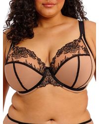 Elomi - Teagan Plunge Bra Cafe Au Lait - Lyst