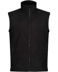 Regatta - Ablaze Gilet - Lyst