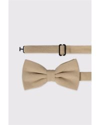 Antique Rogue - Bow Tie - Lyst