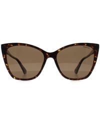 Polaroid - Pld 4181/S 086 Sp Havanna Bronze Polarisierte Sonnenbrille - Lyst
