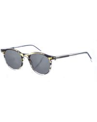 Zen - Z487 Pantos Shape Acetate Sunglasses - Lyst