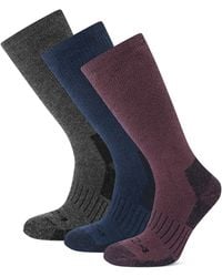 TOG24 - Villach 3 Pack Trek Socks - Lyst