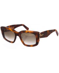 Ferragamo - Square Shaped Acetate Sunglasses Sf1024S - Lyst