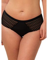 Triumph - Aura Spotlight Maxi Brief - Lyst