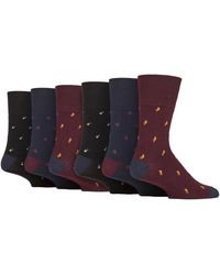 Gentle Grip - 6 Pairs Cotton Socks - Lyst