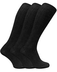 Sock Snob - 3 Pairs Long Knee High Length 100% Cotton Socks - Lyst