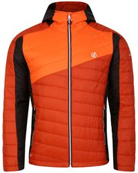 Dare 2b - Touring Padded Jacket (Rooibos Tea/Puffins) - Lyst