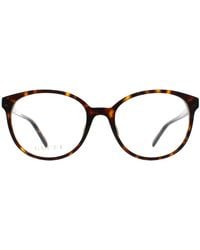Gucci - Round Shiny Dark Havana Gg1996O - Lyst