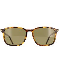 Serengeti - Rectangle Shiny Classic Havana Mineral Polarized 555Nm Lenwood - Lyst