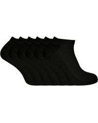 Sock Snob - 6 Pack Low Cut Bamboo Organic Cotton Trainer Socks - Lyst