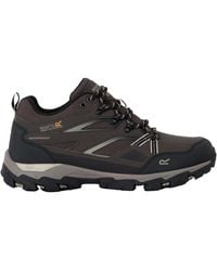 Regatta - Holcombe 3 Low Walking Boots (Peat/ Fawn) - Lyst