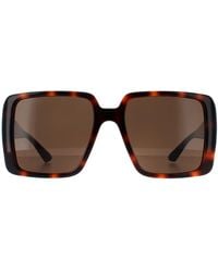 Gucci - Square Dark Havana With Gg1692S - Lyst