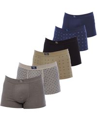 Kisses&Love - Pack Of 6 Units Of Boxer Briefs For Klbp6 - Lyst