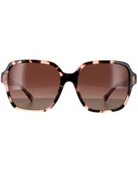 Ralph Lauren - By Square Shiny Havana Gradient Polarized Ra5304U - Lyst