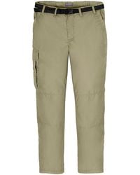 Craghoppers - Herren Cargo-Hose "Expert Kiwi" (Steingrau) - Lyst