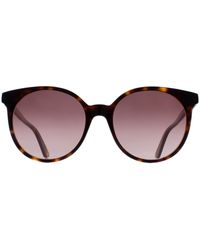 Gucci - Sunglasses Gg0488S 002 Havana Havana/18/145 - Lyst