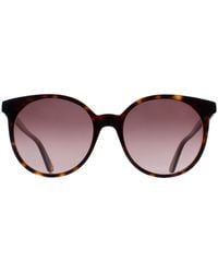 Gucci - Sunglasses Gg0488S 002 Havana Havana/18/145 - Lyst