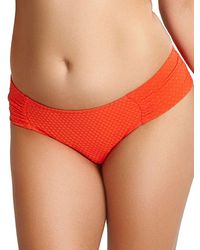 Panache - Echo Gather Bikini Brief - Lyst