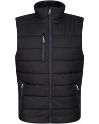 Regatta - Navigate Thermal Body Warmer /Seal) - Lyst