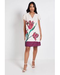 Wallis - Petite Floral Stripe Ruffle Neck Shift Dress - Lyst
