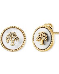 Engelsrufer - Ere-Liltree-Pe-Stg Ladies Tree Of Life Earrings - Lyst