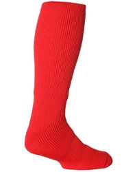 Heat Holders - Extra Long Thick Thermal Knee High Socks 6-11 Uk - Lyst
