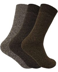 Sock Snob - 3 Pairs Padded Sole Winter Warm Thermal Wool Walking Boot Socks - Lyst
