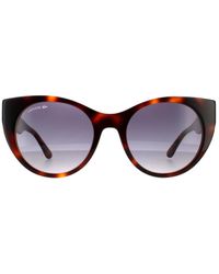Lacoste - Cat Eye Havana Gradient Sunglasses - Lyst
