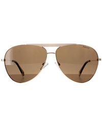 Polaroid - Aviator Ivory Bronze Polarized Pld 6200/S/X Metal - Lyst