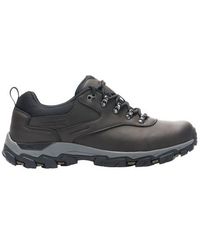 Regatta - Holcombe Classic Low Trainers (Peat) - Lyst
