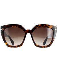 Tom Ford - Cat Eye Dark Havana Gradient Roviex Ft0939 Phoebe Sunglasses - Lyst