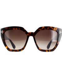 Tom Ford - Cat Eye Dark Havana Gradient Roviex Ft0939 Phoebe Sunglasses - Lyst