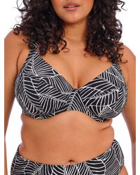 Elomi - Kata Beach Plunge Bikini Top - Lyst
