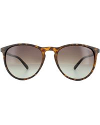 Polaroid - Cat Eye Havana Gradient Polarized Sunglasses - Lyst