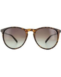 Polaroid - Cat Eye Havana Gradient Polarized Sunglasses - Lyst
